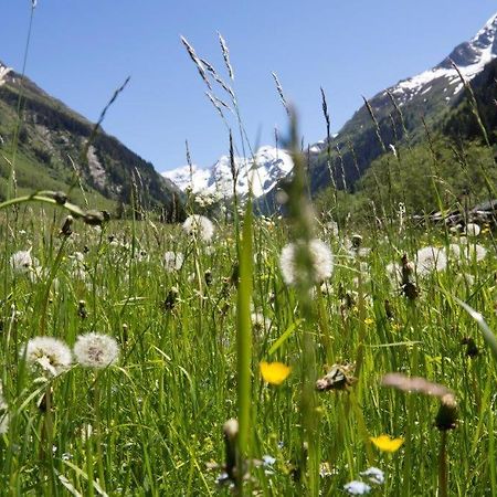 Neuhaushof Lägenhet Hollersbach im Pinzgau Exteriör bild