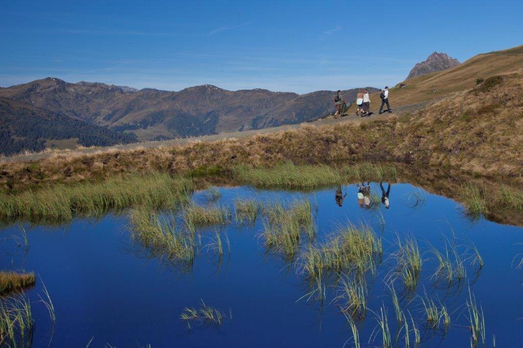 Neuhaushof Lägenhet Hollersbach im Pinzgau Exteriör bild