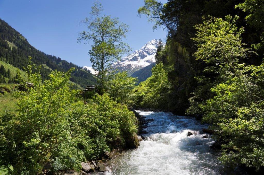 Neuhaushof Lägenhet Hollersbach im Pinzgau Exteriör bild