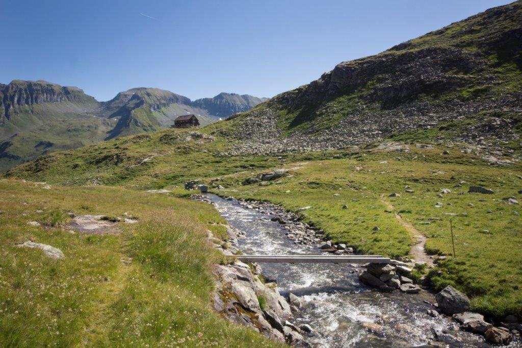 Neuhaushof Lägenhet Hollersbach im Pinzgau Exteriör bild